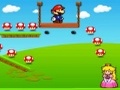 Mario Loves Princess, da igrajo na spletu