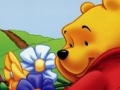 Winnie the Pooh Hidden Object, da igrajo na spletu