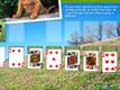 Animal Planet Solitaire, da igrajo na spletu